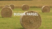 Budaya Parsel