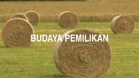 Budaya Pemilikan