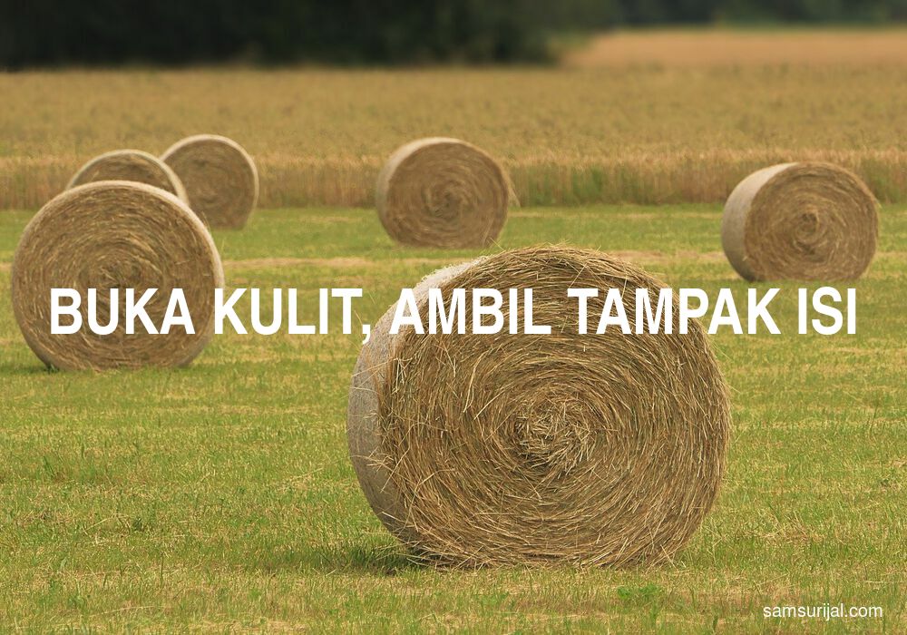 Arti Buka Kulit Ambil Tampak Isi