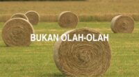 Bukan olah-Olah