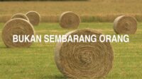 Bukan Sembarang Orang