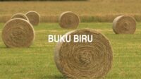 Buku Biru