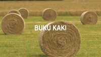 Buku Kaki