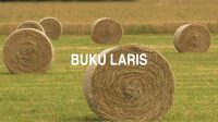 Buku Laris