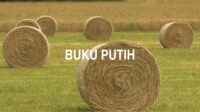 Buku Putih