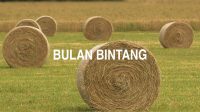 Bulan Bintang