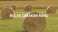 Bulan Dimakan Rahu