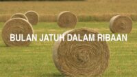 Bulan Jatuh Dalam Ribaan