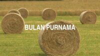 Bulan Purnama