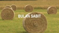 Bulan Sabit