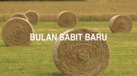 Bulan Sabit Baru