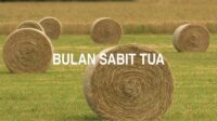 Bulan Sabit Tua