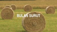 Bulan Surut