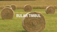 Bulan Timbul