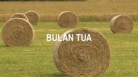 Bulan Tua