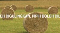 Bulat Boleh Digulingkan, Pipih Boleh Dilayangkan