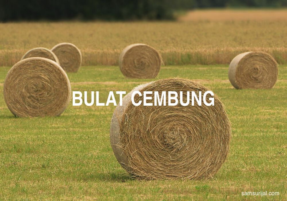 Arti Bulat Cembung