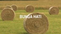 Bunga Hati