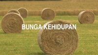 Bunga Kehidupan