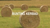 Bunting Kerbau