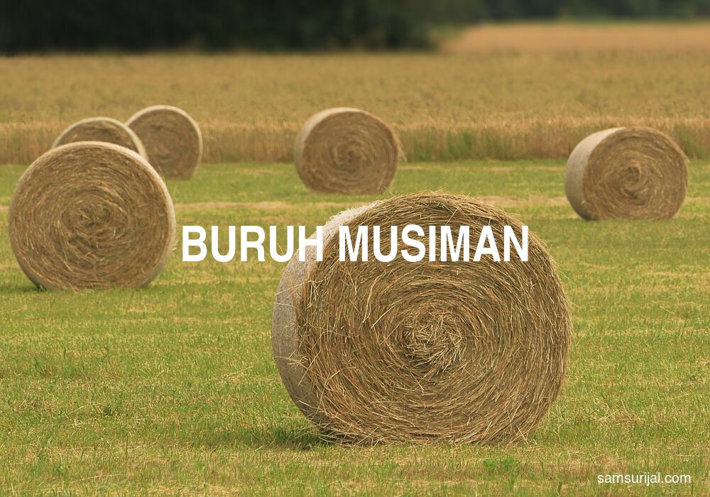 Arti Buruh Musiman