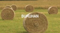 Buruhan