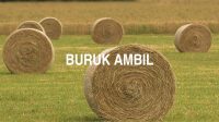 Buruk Ambil