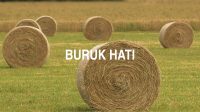 Buruk Hati