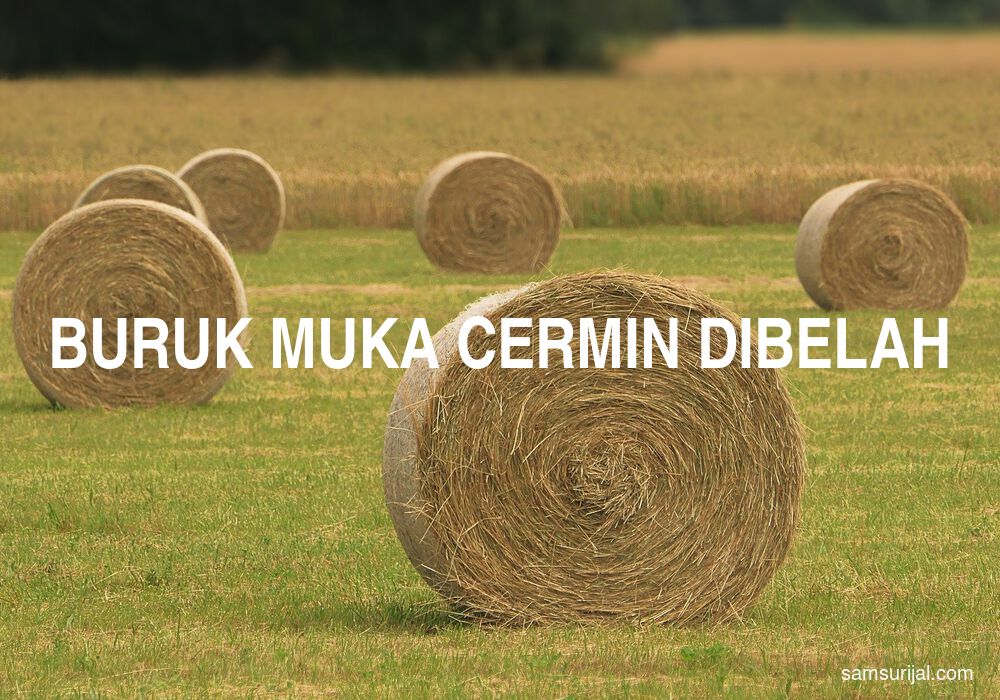 Arti Buruk Muka Cermin Dibelah