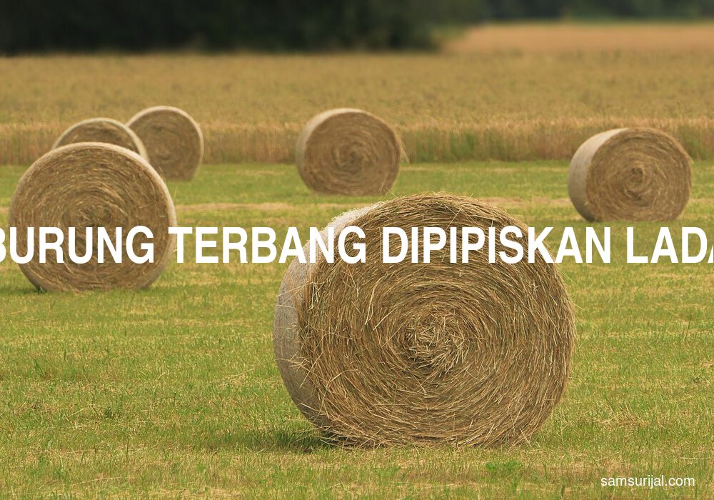 Arti Burung Terbang Dipipiskan Lada