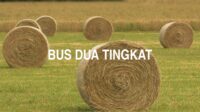 Bus Dua Tingkat