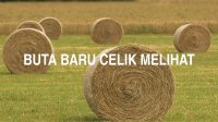 Buta Baru Celik Melihat