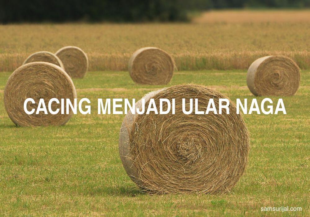 Arti Cacing Menjadi Ular Naga