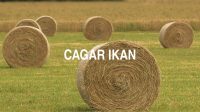 Cagar Ikan