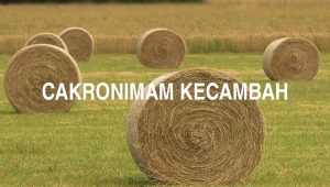 Arti Cakronimam Kecambah