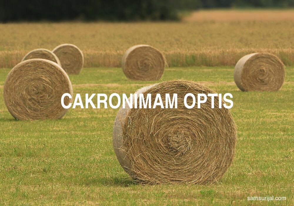 Arti Cakronimam Optis