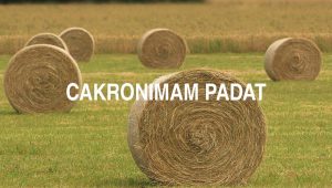 Cakronimam Padat