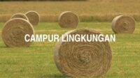 Campur Lingkungan