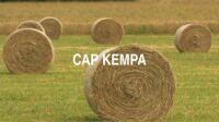 Cap Kempa