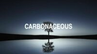 Carbonaceous