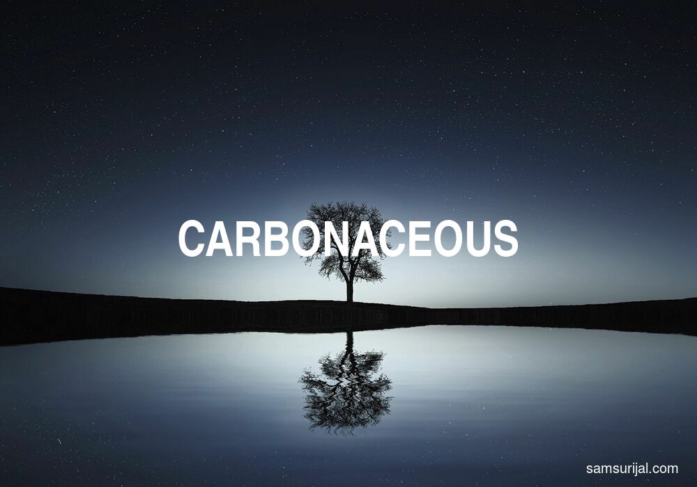 Arti Carbonaceous