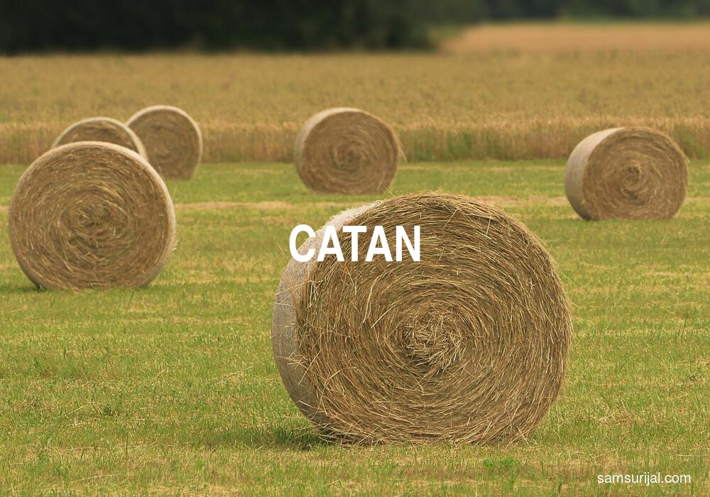 Arti Catan