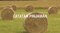 Catatan Pinjaman