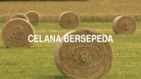 Celana Bersepeda