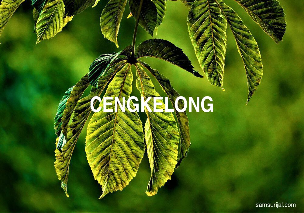 Arti Cengkelong