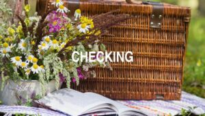 Arti Checking