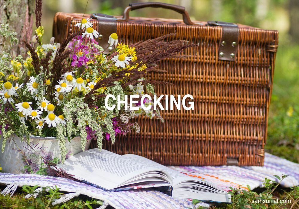 Arti Checking