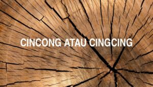 Cincong atau Cingcing