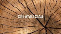 Ciu atau Ciau