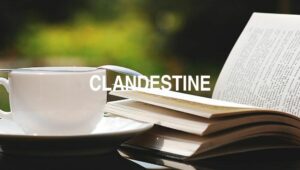 Arti Clandestine